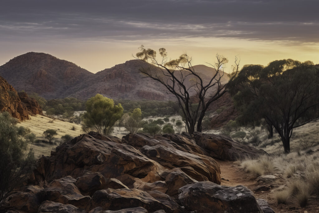 Journey into the heart of the MacDonnell Ranges with this compelling depiction. The image unveils a sweeping panorama of the rugged terrain, from the textured details of the ground to the towering mountain peaks. It showcases the untamed wilderness of the outdoors, inviting viewers into a mesmerizing landscape where nature's grandeur unfolds in every frame. This isn't merely a scenery—it's an invitation to traverse the wild expanse of one of Australia's most iconic ranges.