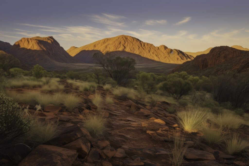 Embark on a visual journey into the heart of the MacDonnell Ranges with this evocative depiction. This image encapsulates the stark beauty of the desert landscape, presenting a rich canvas of textured ground that stretches out into the wilderness. From the intricate details of the earth underfoot to the wide expanse of the outdoors, this isn't just a scene—it's an intimate exploration of Australia's untamed natural grandeur, inviting you to discover the raw allure of the arid outback.