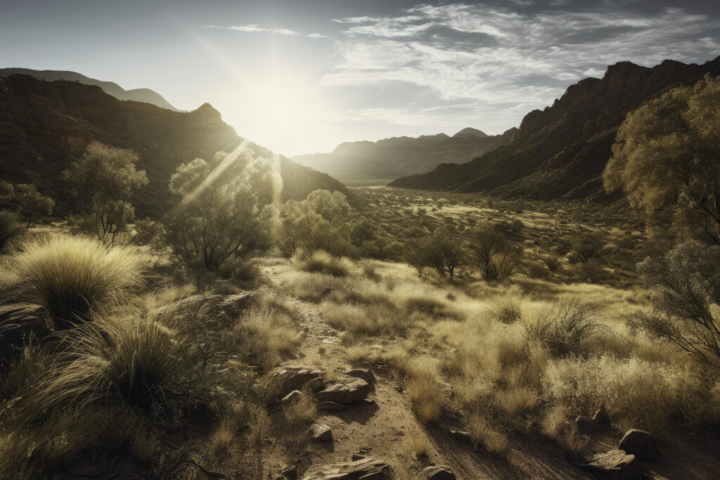 Step into the enchanting realm of the MacDonnell Ranges with this panoramic image. It gracefully captures the lush vegetation illuminated by the radiant sunlight against the backdrop of the boundless wilderness. This isn't just an outdoor view—it's a vibrant, sun-kissed portrayal of the Australian outback. Let this panorama draw you into the world of the MacDonnell Ranges, where nature thrives in its full glory, revealing the harmony between sun, earth, and the flourishing vegetation.