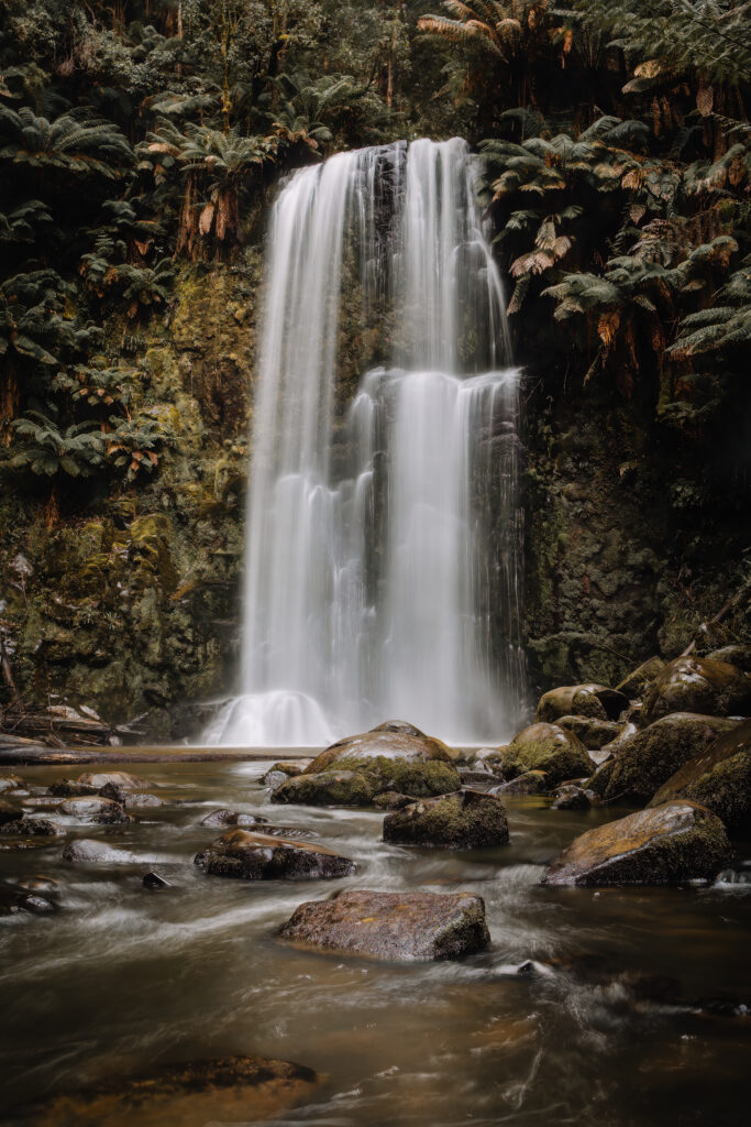 This image chronicles the heart of a beautiful Australian rainforest. Surrounded by lush vegetation, close family, and the soothing music of a running creek, Paula's milestone birthday is as enchanting as the cascading waterfall in the backdrop. A heartfelt moment captured in the great outdoors.