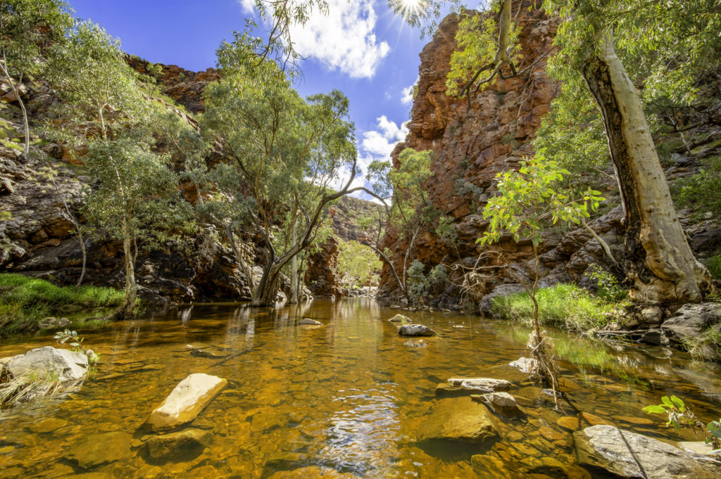 Witness the raw beauty of the Northern Territory's wilderness in this evocative image, capturing the essence of Serpentine George, where the creek has transformed into a vibrant stream, post-floods. The lush jungle and dense vegetation frame the landscape, showcasing nature's resilience as the rock formations stand steadfast amidst the flowing river. This landscape is a testament to the enchanting allure of Australia's rainforest, rejuvenated by nature's unstoppable force.