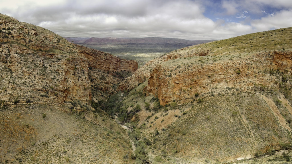 In the wake of nature's renewal, the Serpentine Gorge comes alive as captured from a drone's eye view. The Northern Territory beholds a breathtaking scenery where the relentless power of flooding water sculpts the land, transforming the canyon and plateaus. Witness the contrast of a mighty river snaking through the arid mountain wilderness, surrounded by a flourish of vegetation indicating life's tenacity. This fusion of rock and water creates a mesmerizing serpentine path through the valley, inviting onlookers to revel in the grandeur of nature's uninterrupted play.